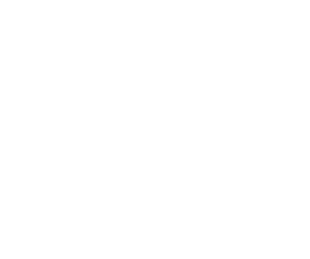 Kiwitax | Small Business Services